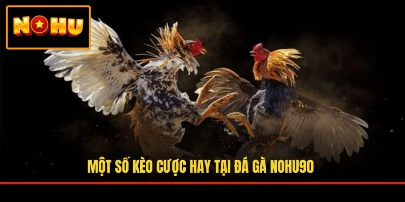 Một số kèo cược hay tại đá gà NOHU90